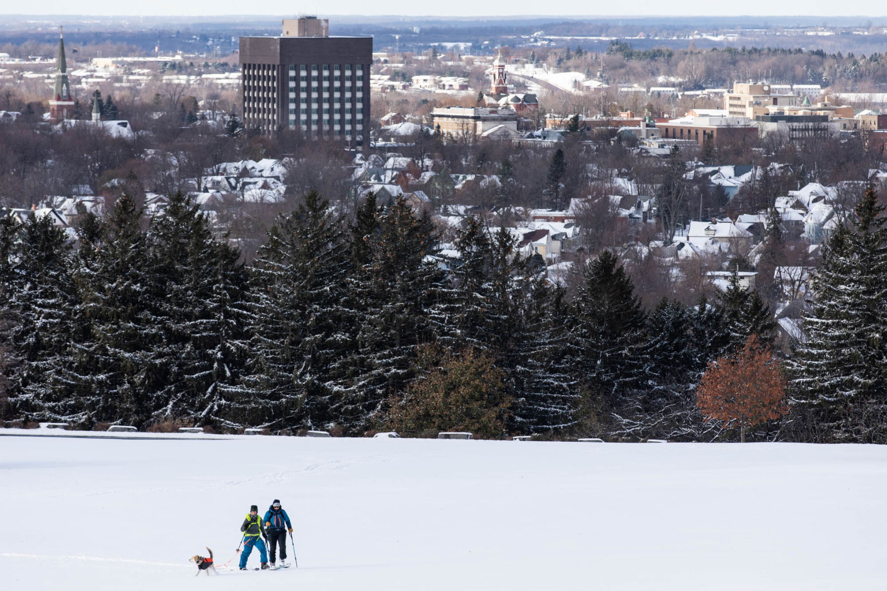 1113_wdj_firstsnow_SS1.JPG